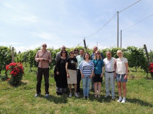 I norvegesi visitano i vigneti di Barbera con il Consorzio_FuoriluogoFestival 2014