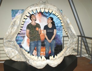 Aperture straordinarie del Museo dei fossili