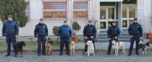 cani poliziotto