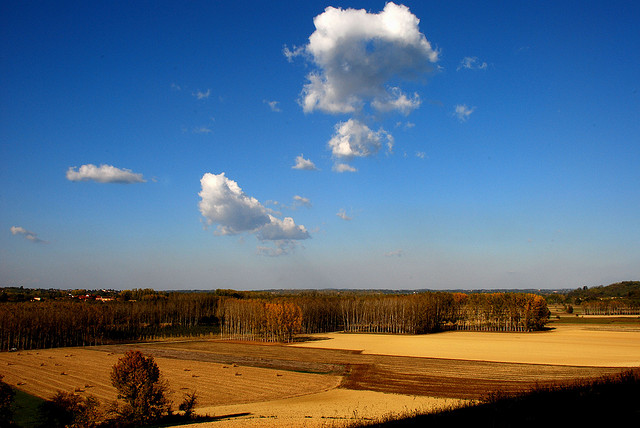 Ma gli astigiani conoscono l’ambiente in cui vivono? I risultati dell’indagine a campione promossa da Verdeterra