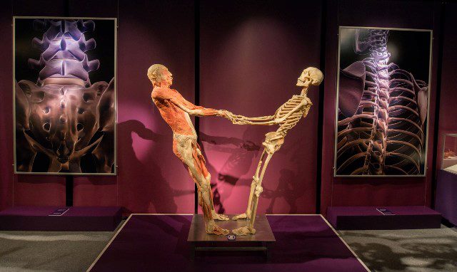“The Human body” a Torino fino al 7 aprile