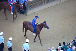 Arrestato in Toscana “Lo Zedde”, fantino del Palio di Asti e del Palio di Siena