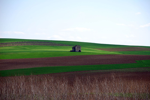 Monferrato Langhe e Roero saranno Patrimonio Unesco