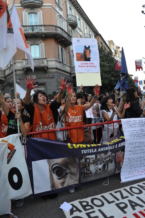 Palio di Asti 2015. Animalisti in piazza per dire no alla corsa