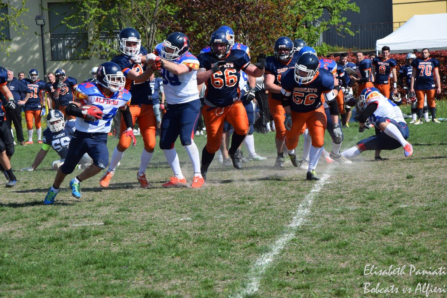 Gli Alfieri cedono sul campo dei Bobcats