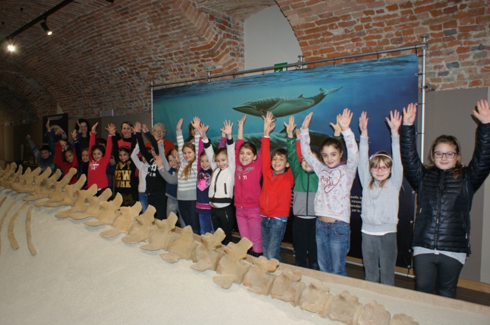 Successo per il nuovo Museo Paleontologico: in duecento nel week end