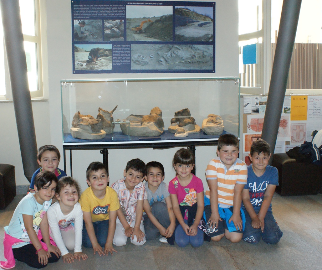 Chiusano rende omaggio al grande cetaceo scoperto nel 2003