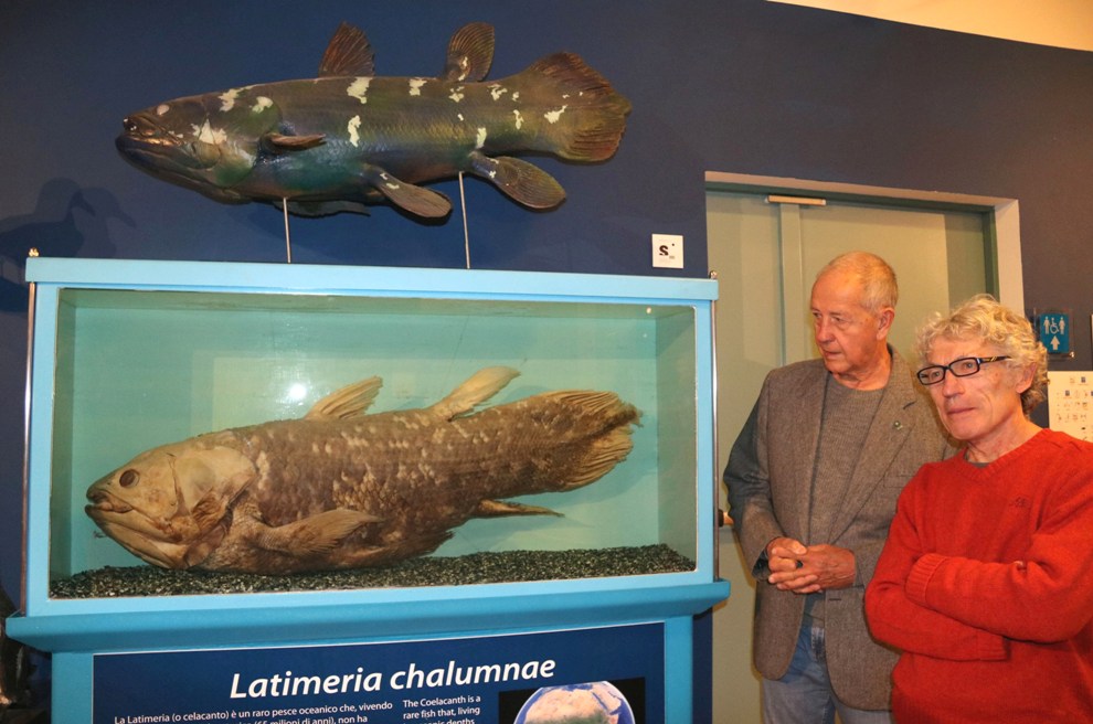 Trieste invita Asti per i 35 anni di esposizione del celacanto, rarissimo pesce delle Comore