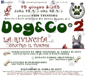 “Dog & Co2”: nuovo appuntamento in favore del canile di Asti