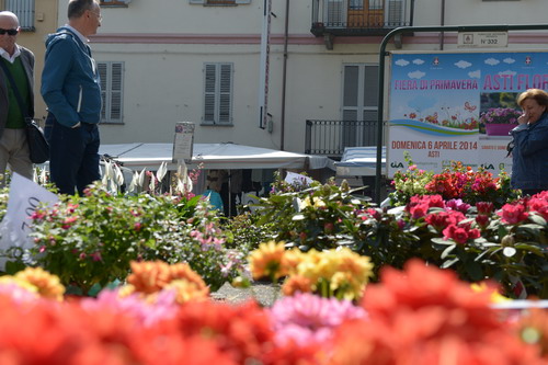 Successo per il week end astigiano fra fiere e fiori