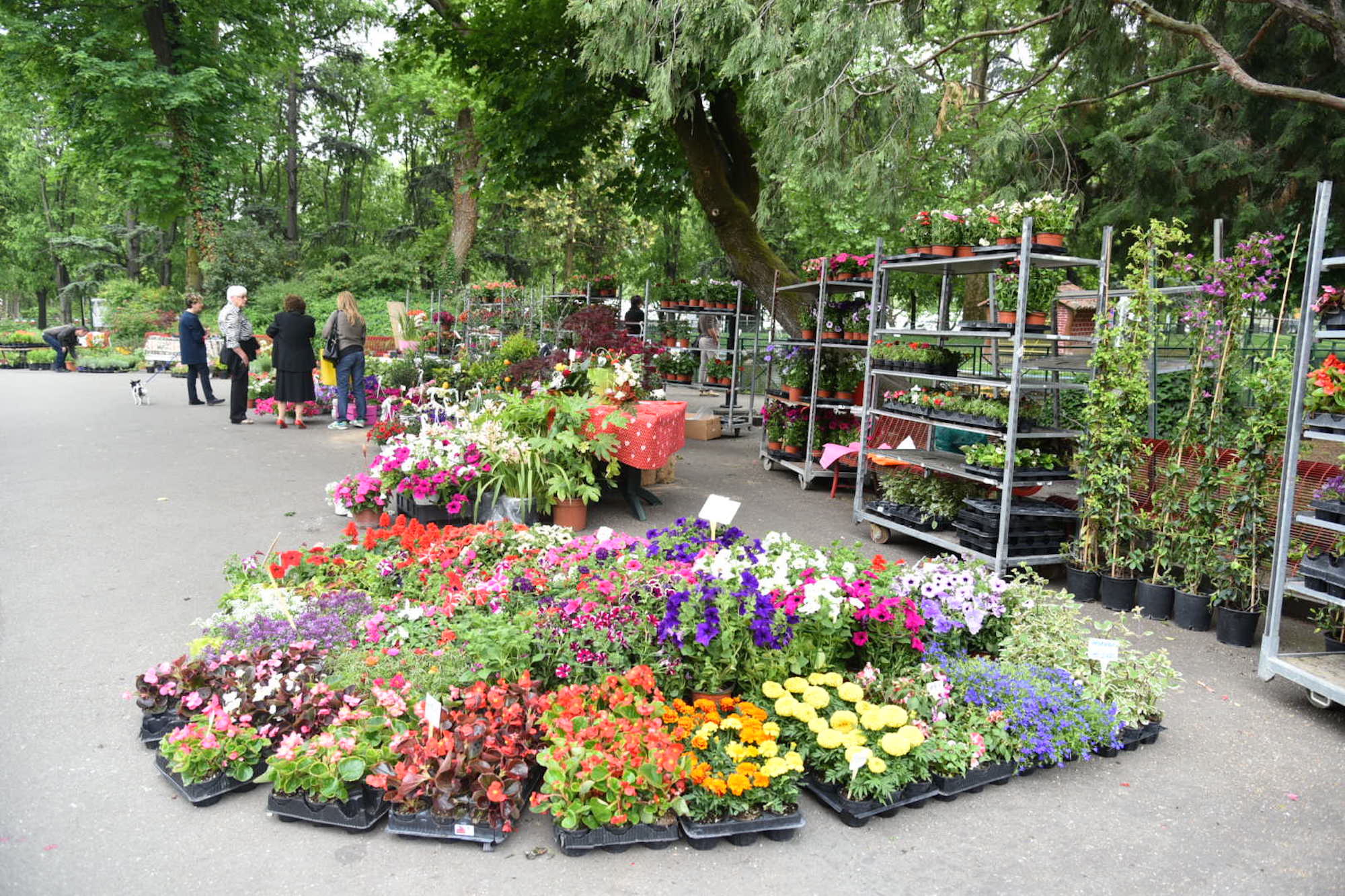 Asti, ai giardini pubblici la sesta edizione di Florart