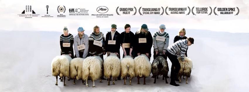 Il film islandese Rams in Sala Pastrone