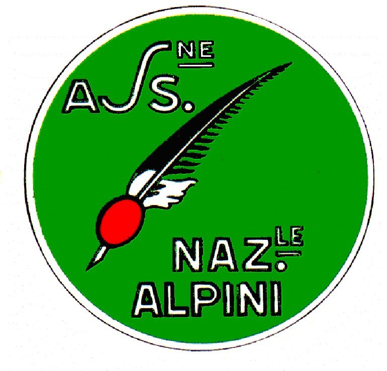 San Martino Alfieri, 25° Festa provinciale degli Alpini