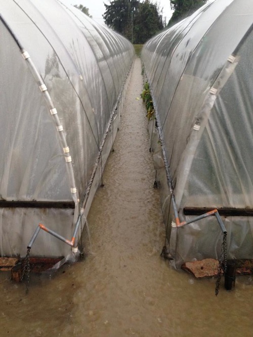 Alluvione di novembre. Dal Piemonte 300 mila euro di anticipo sui danni alle serre