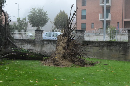 Maltempo: il Piemonte chiede lo stato di calamità