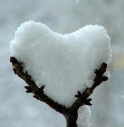 Nevicate su tutto l’Astigiano, ecco come comportarsi