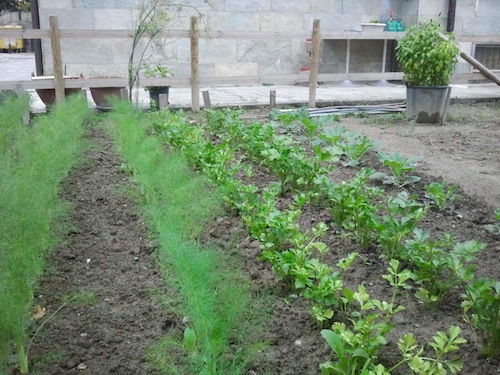 Al via il nuovo progetto per una corretta alimentazione nelle scuole di Nizza Monferrato