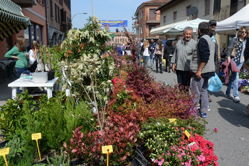 Fiori e degustazioni a Motta di Costigliole