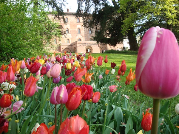 Torna al Castello di Pralormo Messer Tulipano: le foto