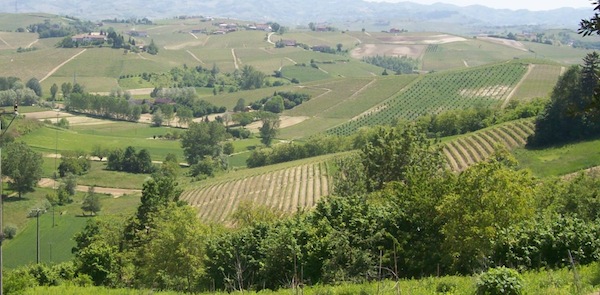 Unesco. Presentato a Parigi il dossier per la candidatura del paesaggio vitivinicolo di Langhe, Roero e Monferrato