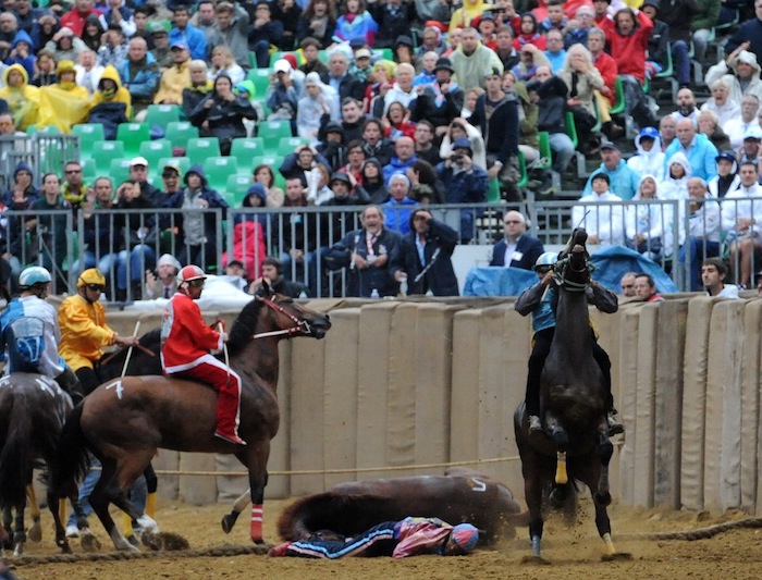 Incidente al Palio di Asti, cavallo perde la vita al canapo