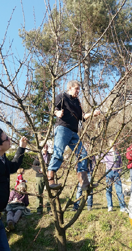 A lezione di potatura e innesto di alberi da frutto con il circolo Legambiente Valtriversa