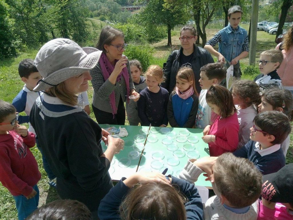 Successo per Agricola