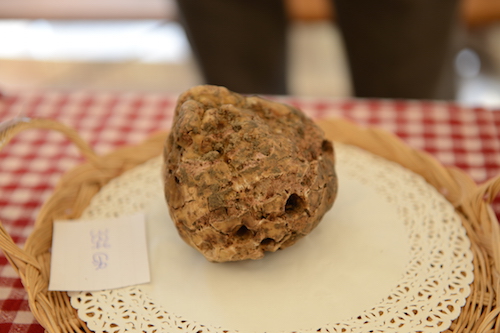 Volti e protagonisti della Fiera Regionale del Tartufo di Montiglio