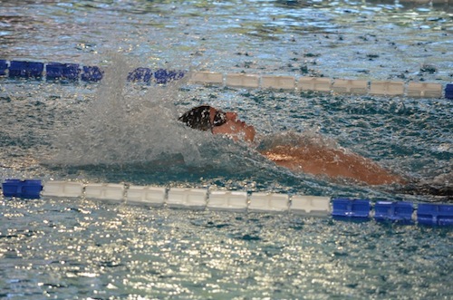 Swimming Cup 2013. Tasso, Ceccato e Vaccaneo nuotano tra il gotha del nuoto mondiale