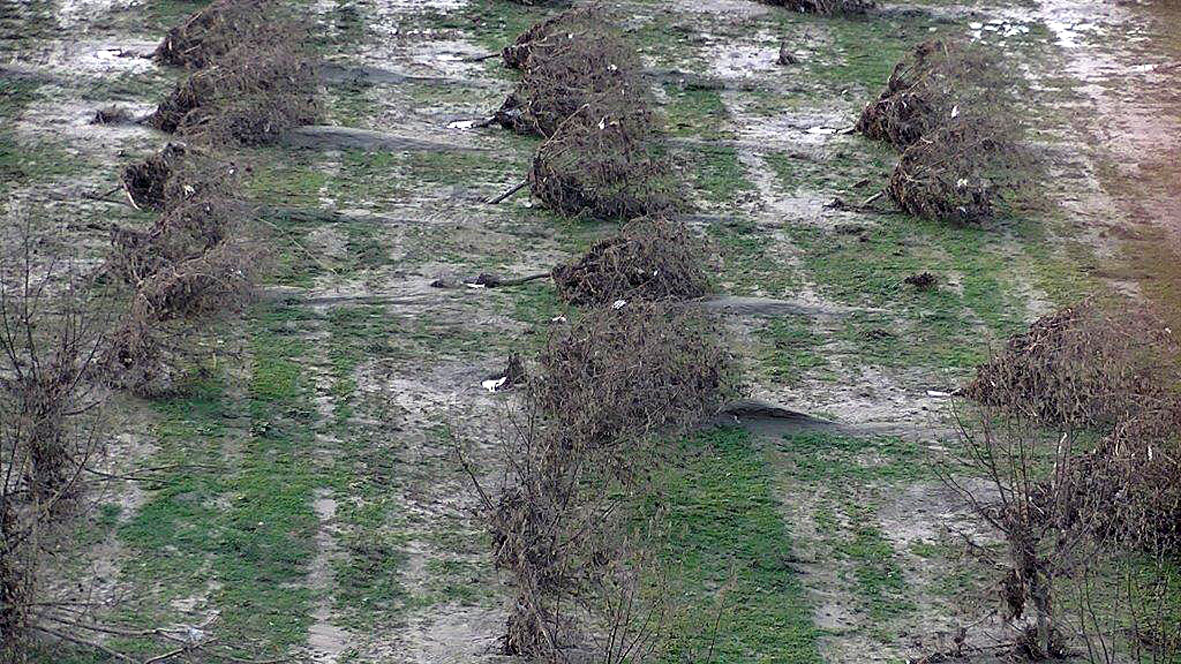 Maltempo: Coldiretti ha chiesto alla Regione Piemonte di convocare un  tavolo