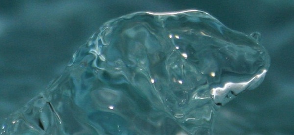 “Nel segno dell’acqua” insolita visita del centro di Asti per Verdeterra