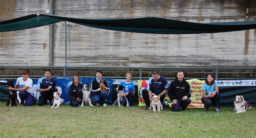 Ottimo successo per la gara di agility dog di Portacomaro