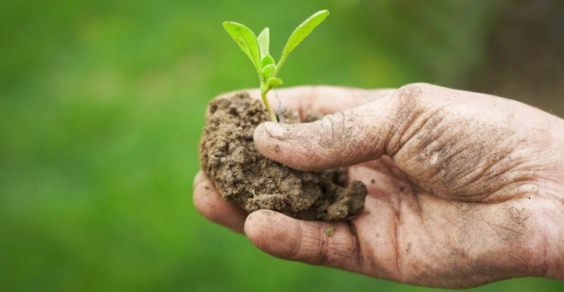 Ad Asti corsi gratuiti di agricoltura biologica