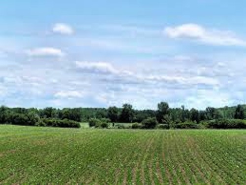 Prestiti di conduzione per le imprese agricole: finanziamenti con il Piano Verde