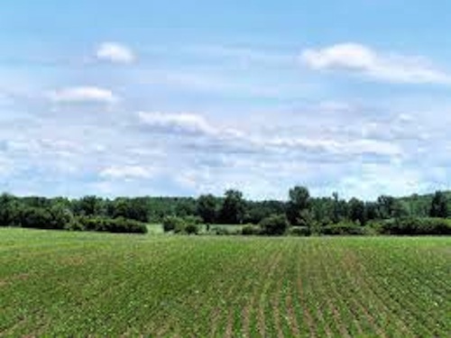 L’Astigiano al centro di progetti e investimenti in campo agricolo