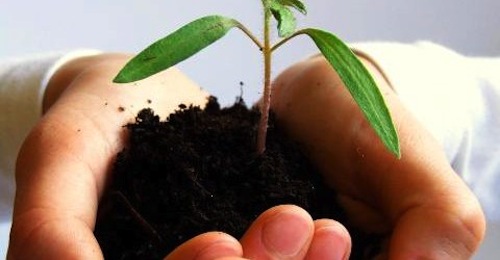 Agricoltura in ripresa nell’Astigiano