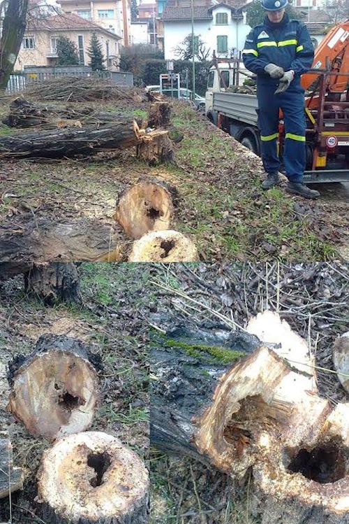 La Protezione Civile di Asti all’opera nel parco Monterainero