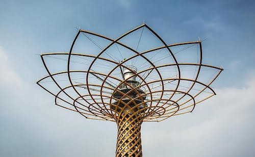 L’albero della vita di Maria Angela Gelati ad Asti