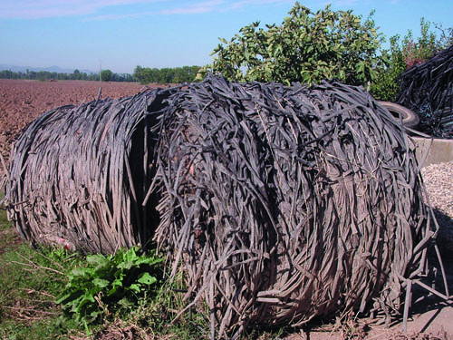 Con Cascina Pulita vantaggi per agricoltori e imprese per lo smaltimento delle ali gocciolanti