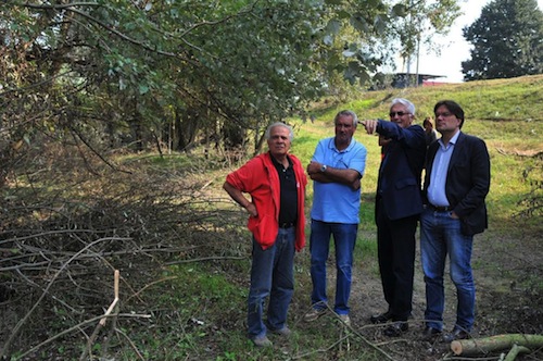 Tagliati gli alberi lungo la sponda destra del Tanaro