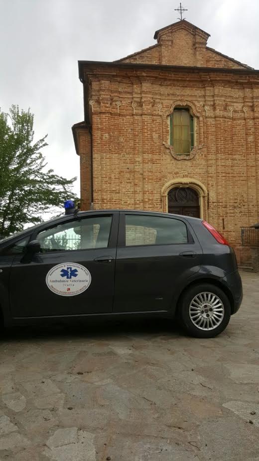 L’Ambulanza Veterinaria, il 118 degli animali