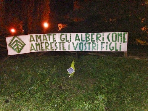 Festa dell’Albero, la Foresta che Avanza ne pianta uno in ogni città: “Il nostro verde contro il vostro grigio”