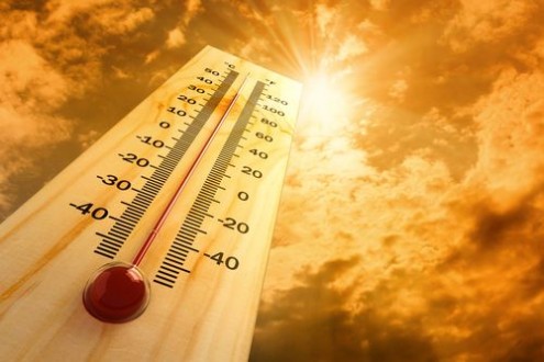 Il caldo provoca danni all’agricoltura