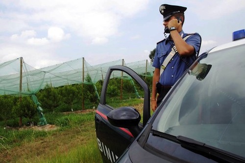 Giovane agricoltore vittima di un incidente in campagna