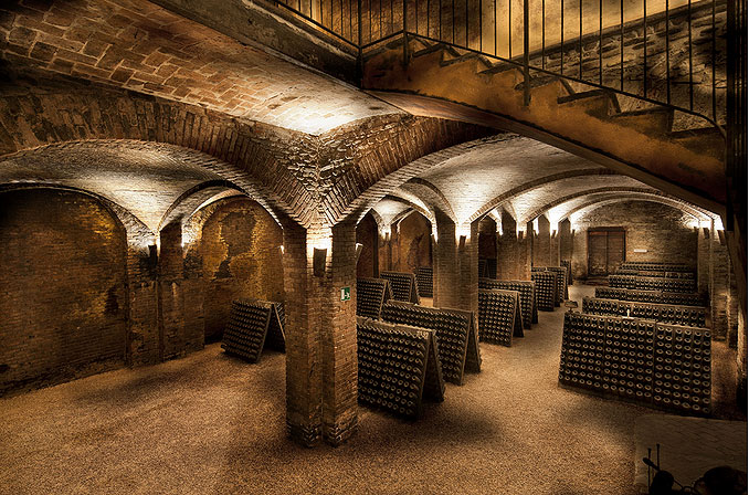 Visita alle Cantine storiche canellesi, le “Cattedrali sotterranee”