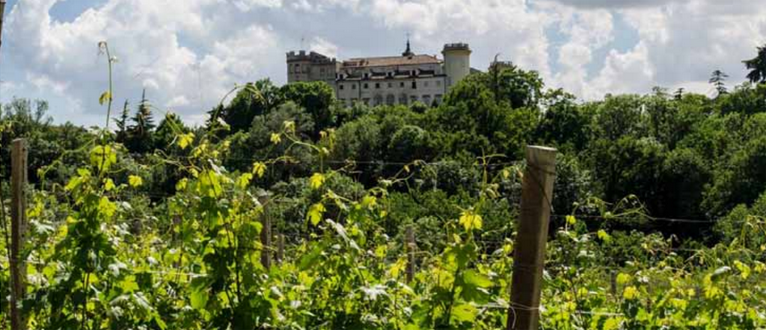 A Costigliole d’Asti due spettacoli nella settimana di Ferragosto