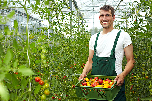 Lavoro: disoccupazione, Coldiretti, +4% imprese condotte da under 30