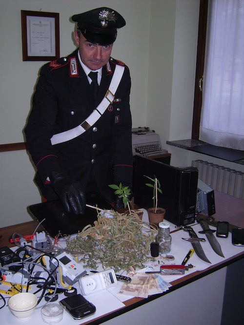 Tecnico informatico con l’hobby del “giardinaggio” arrestato dai carabinieri di Alba