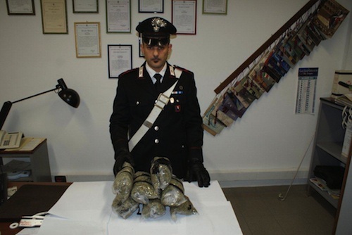 Aveva una piantagione di marijuana sul balcone: arrestato dai carabinieri di Nizza Monferrato