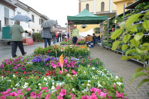 Fiori in fiera resiste alla pioggia